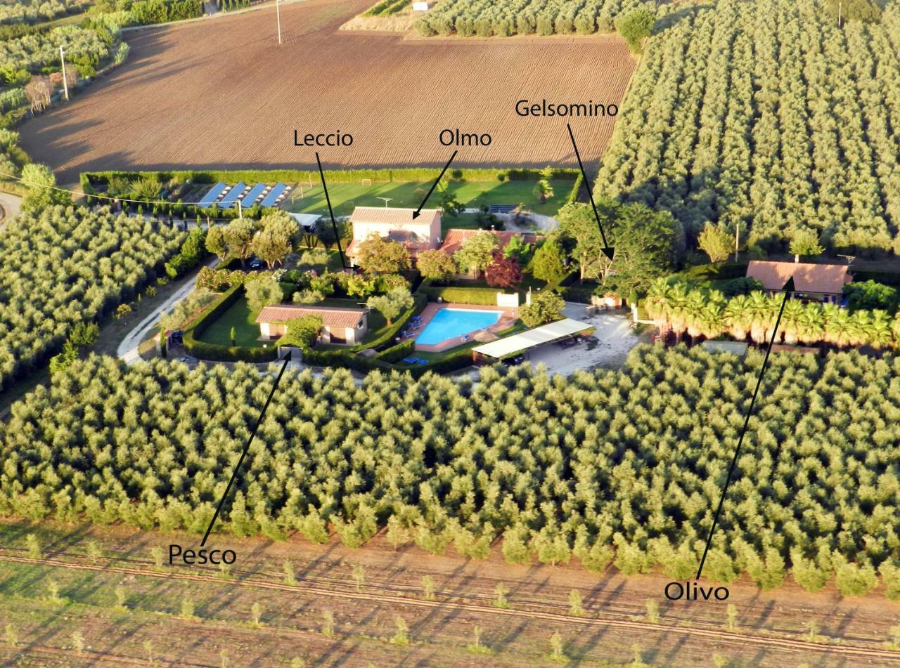 Podere Campi Al Mare Hébergement de vacances *